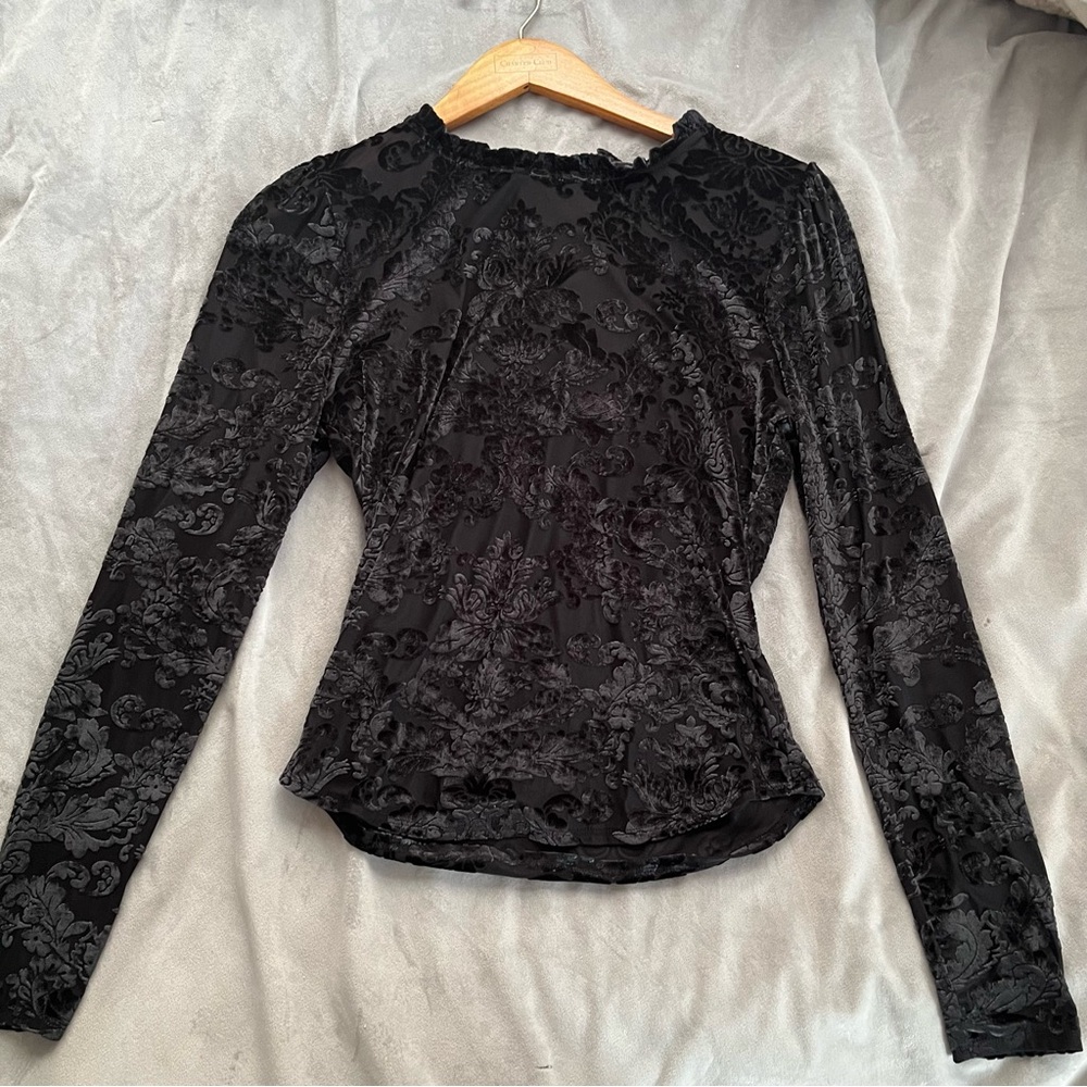 Anthropologie Sheer Velvet Long Sleeve Top